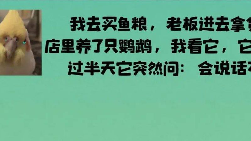 烘焙原料质量对比标准：揭秘烘焙原料的“幕后英雄